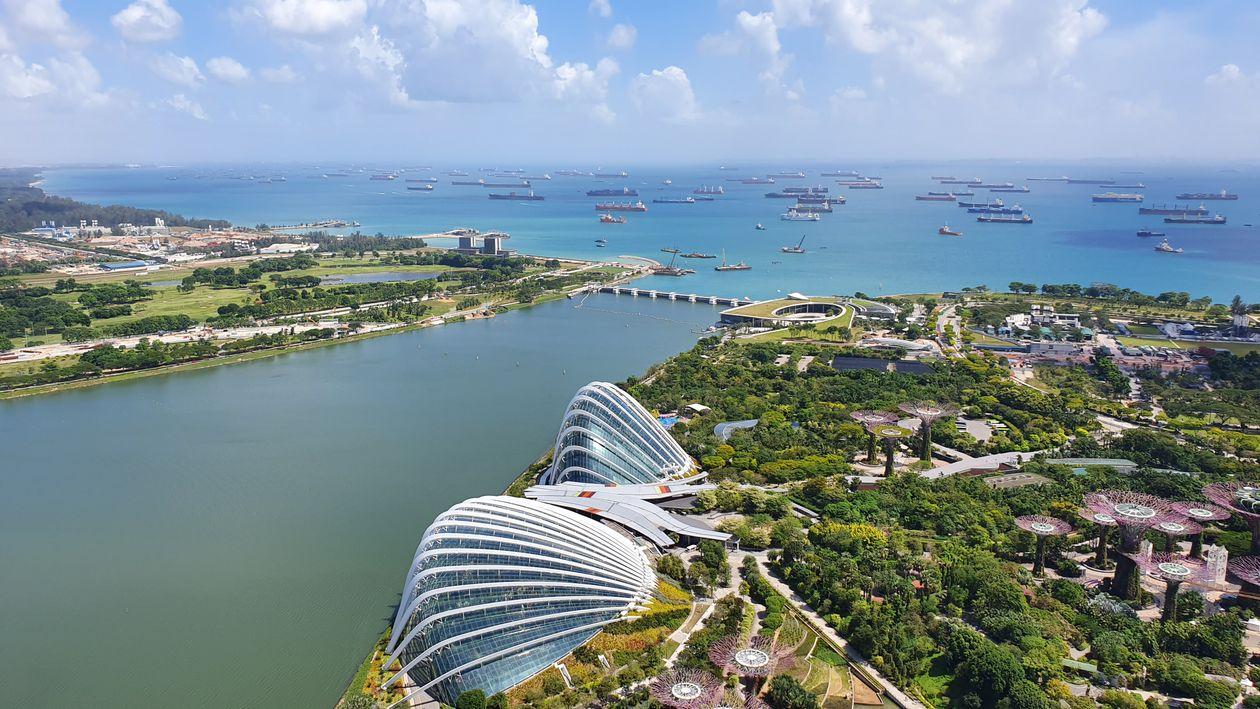 Aerial view of Gardens by the Bay and surrounding greenery with the sea in the distance.