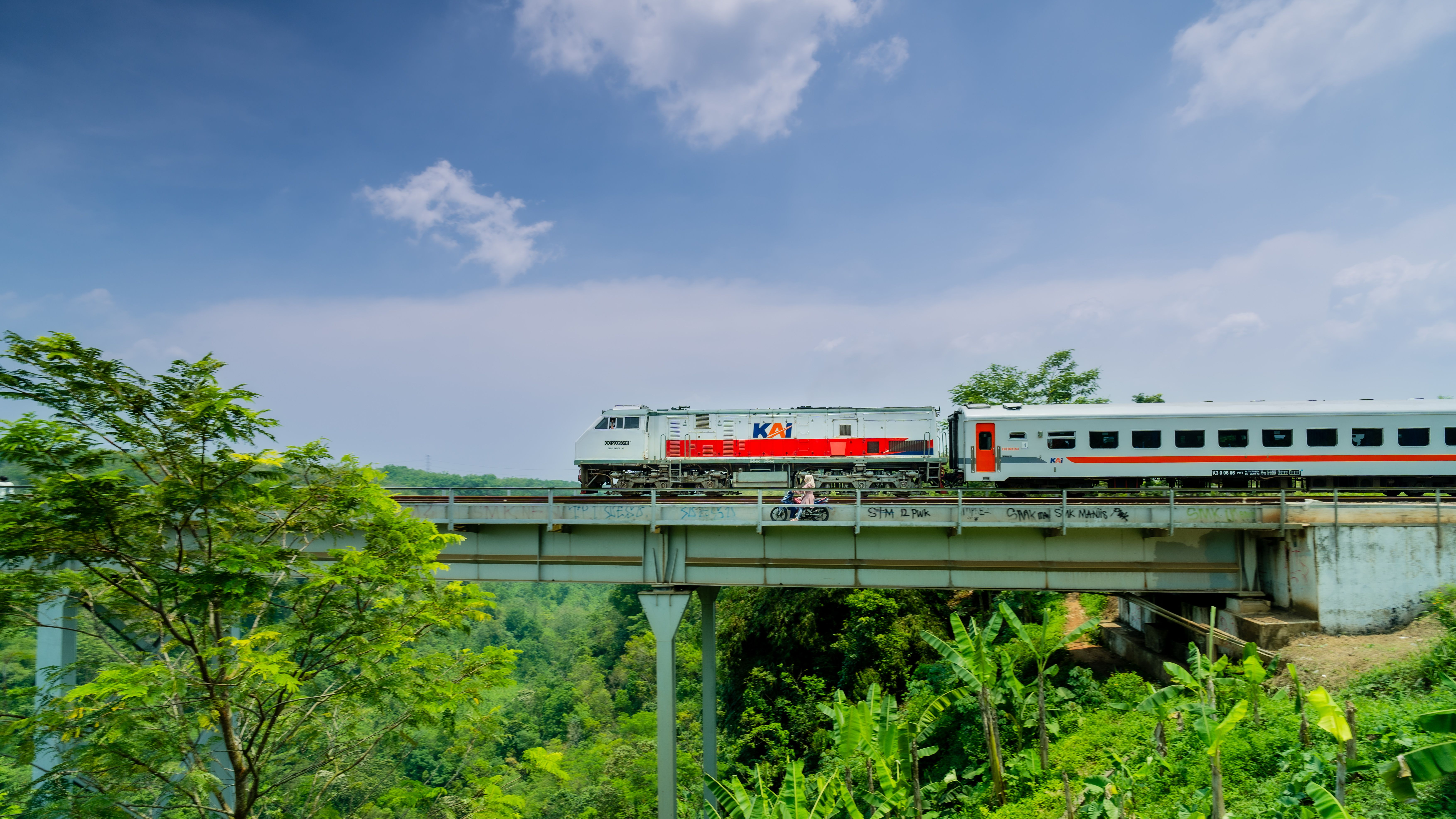A passenger train crosses an elevated bridge above tropical forest in Indonesia.